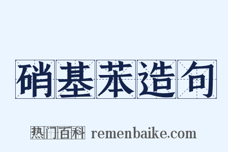 硝基苯造句是什么意思的图片